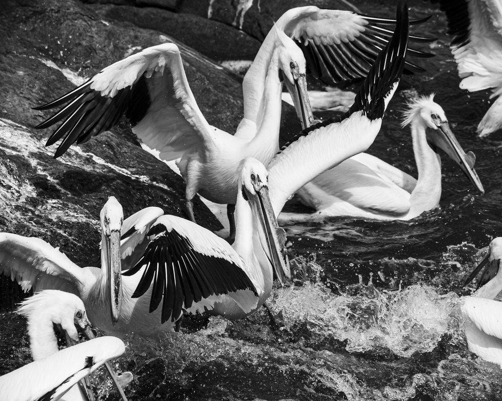 Photograph by Inna Borysevych