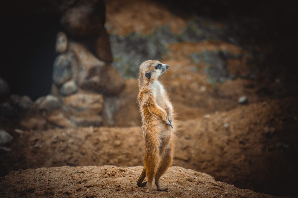 Photograph by Александр Раков