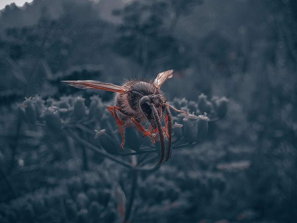 Photograph by Вадим Басов