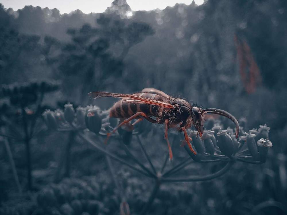 Photograph by Вадим Басов