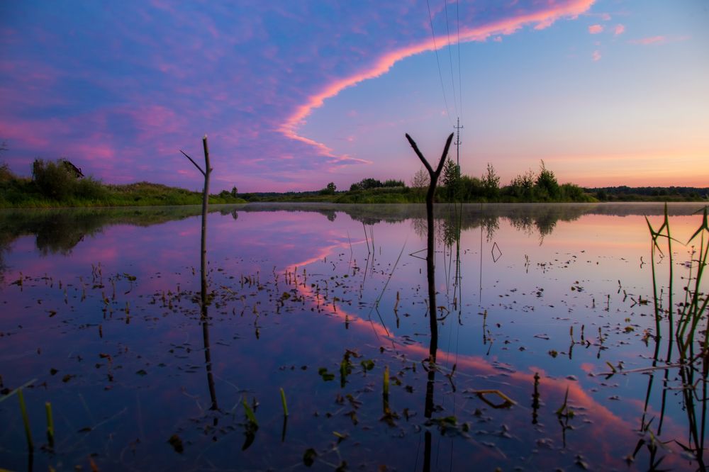 Photograph by Дмитрий Пасынков