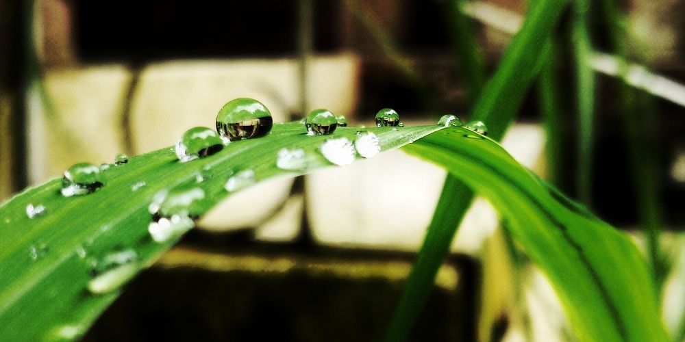 Photograph by Monuj Kr Dutta