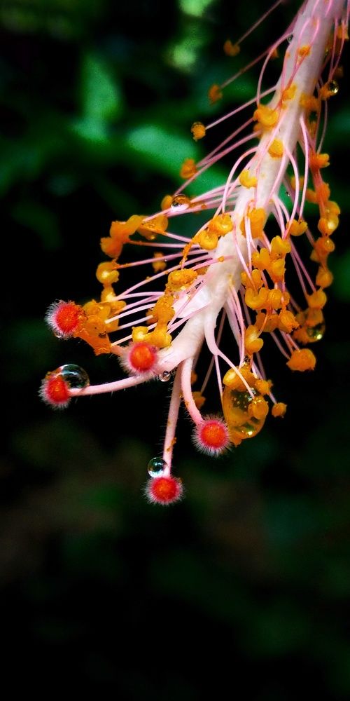 Photograph by Monuj Kr Dutta