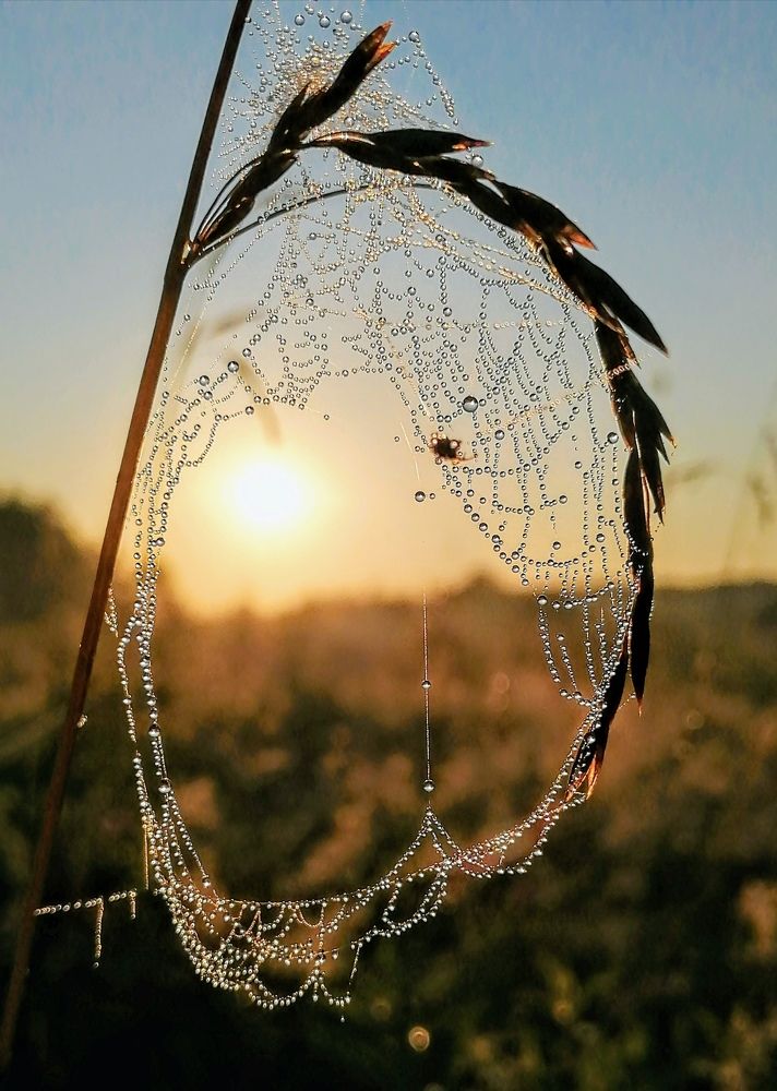 Photograph by Виктор Шубин