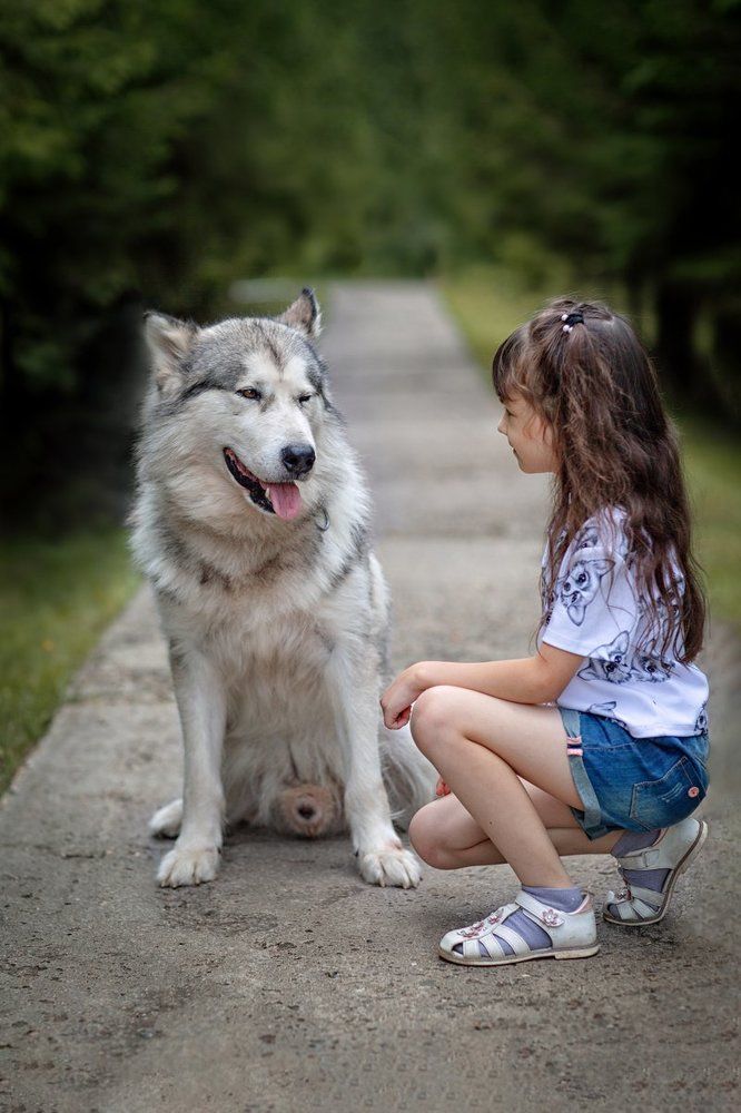 Photograph by Светлана Сиротина