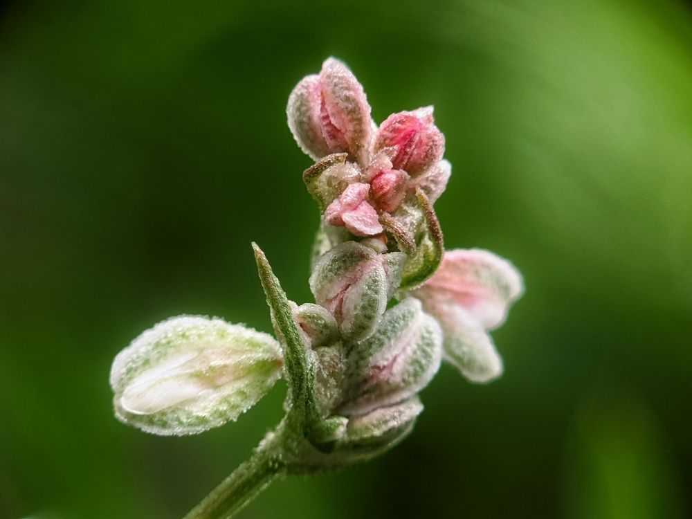 Photograph by Денис Пономарёв