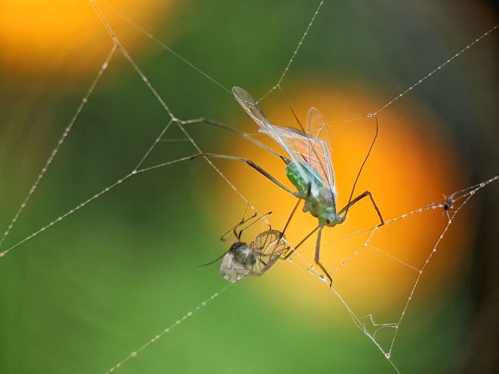 Photograph by Денис Пономарёв