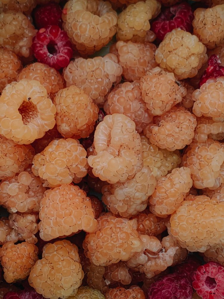 Photograph by Дарья Лисовская