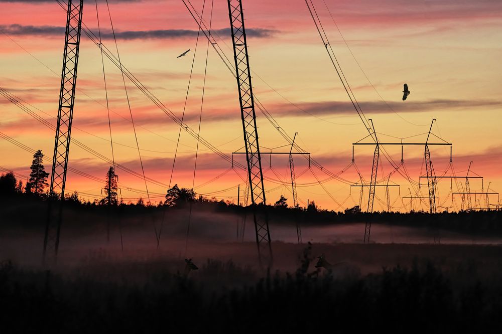 НАПРЯЖЕНИЕ