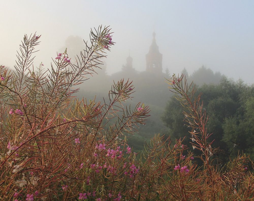 Photograph by Суетинов Евгений