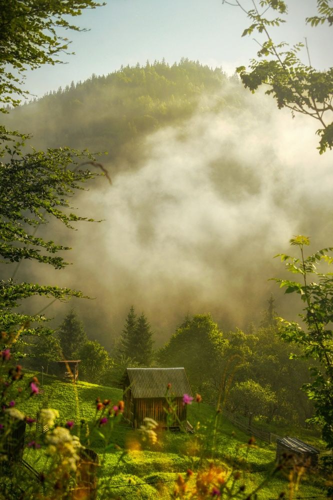 Photograph by Andrii Didushko