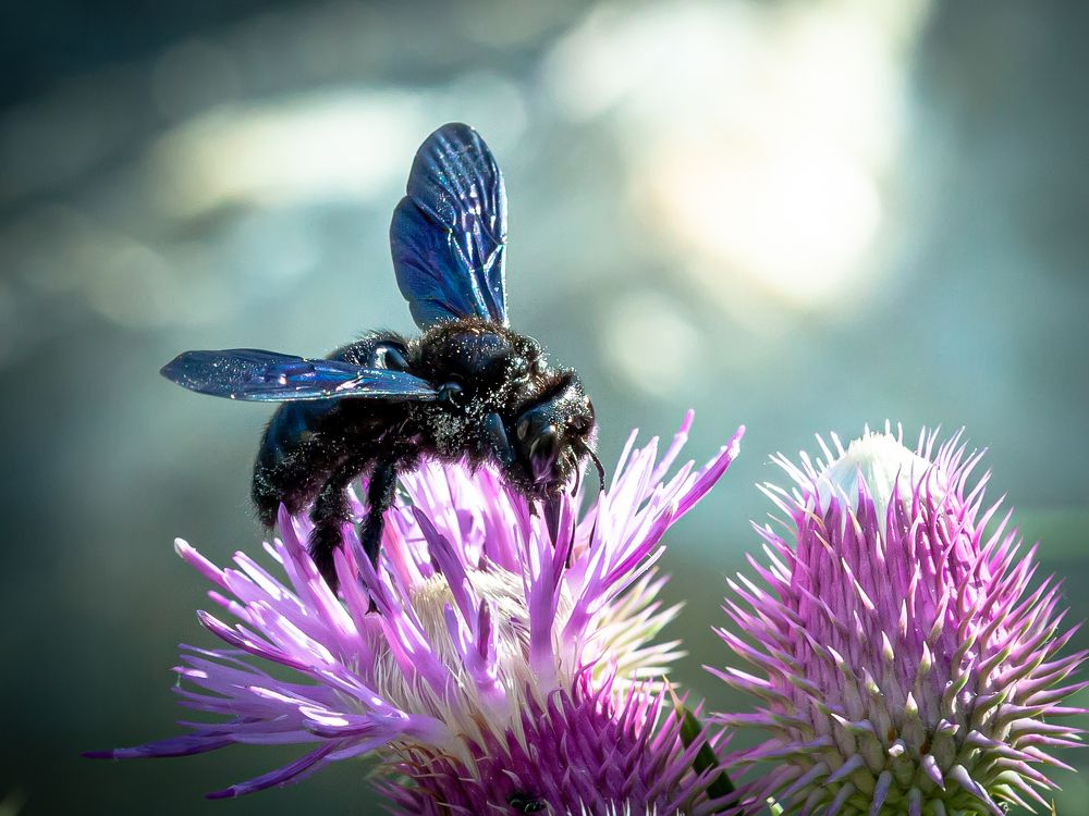 Photograph by Андрей Иванов