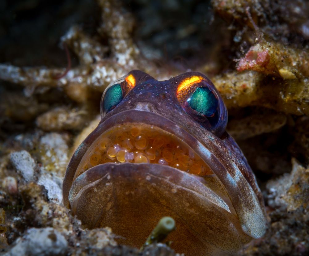 Photograph by Андрей Савин