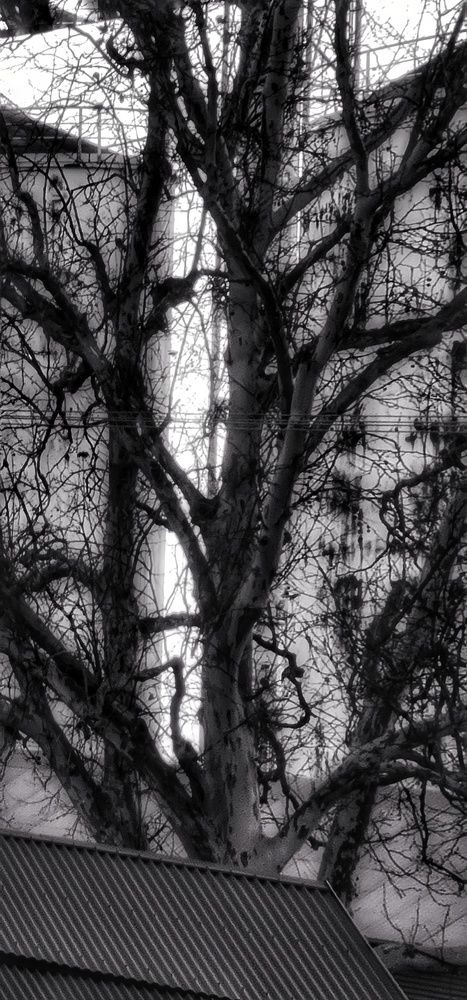 Photograph by Helen zeller