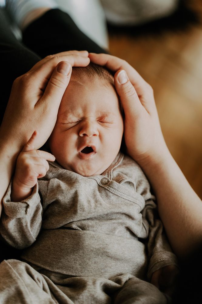 Фотография автора Антонина Северова