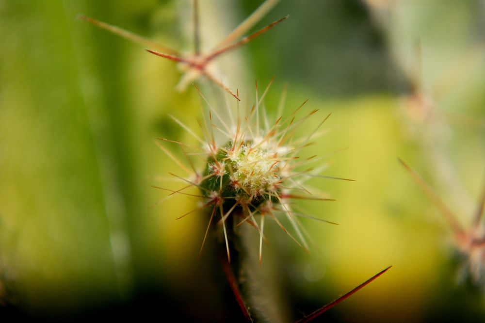 Photograph by Дмитрий