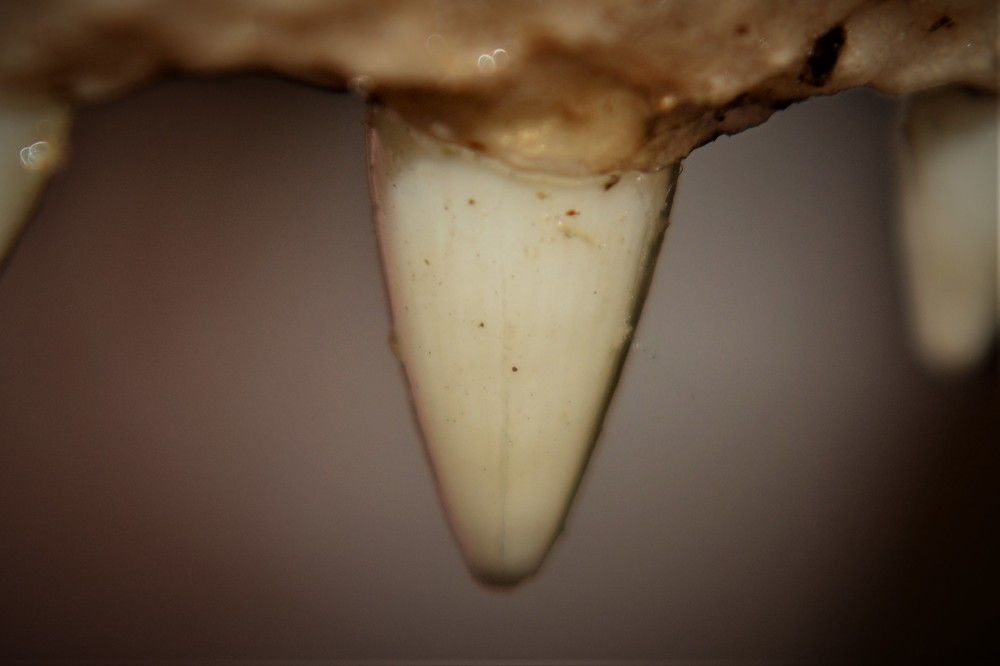 Photograph by Дмитрий