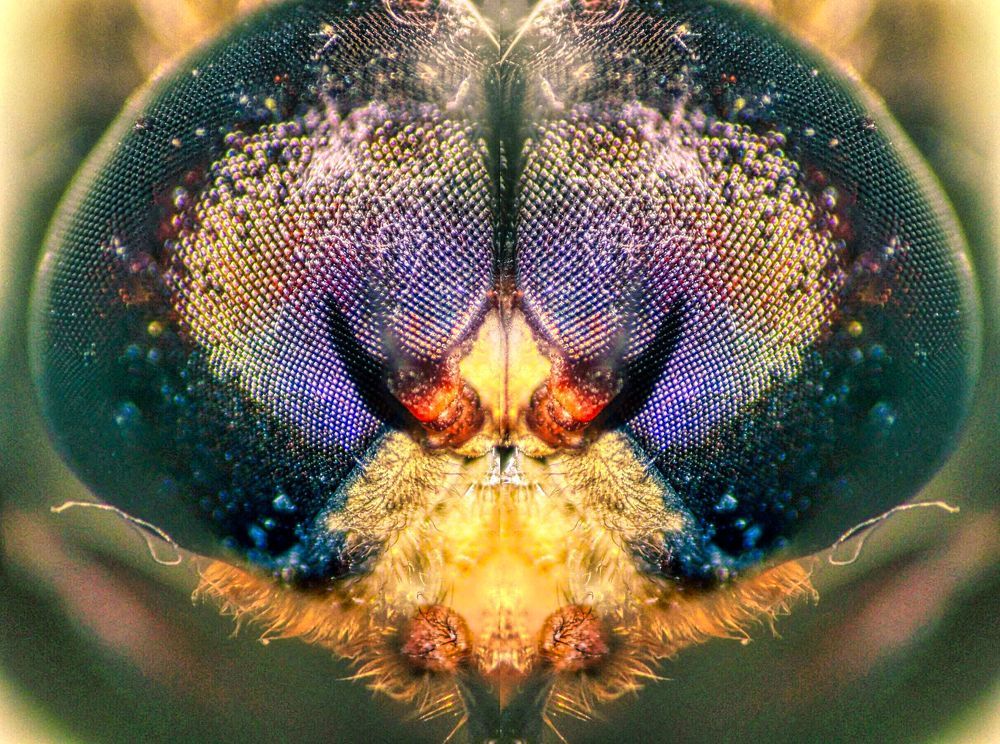 Photograph by Sandor Zoltan Gal