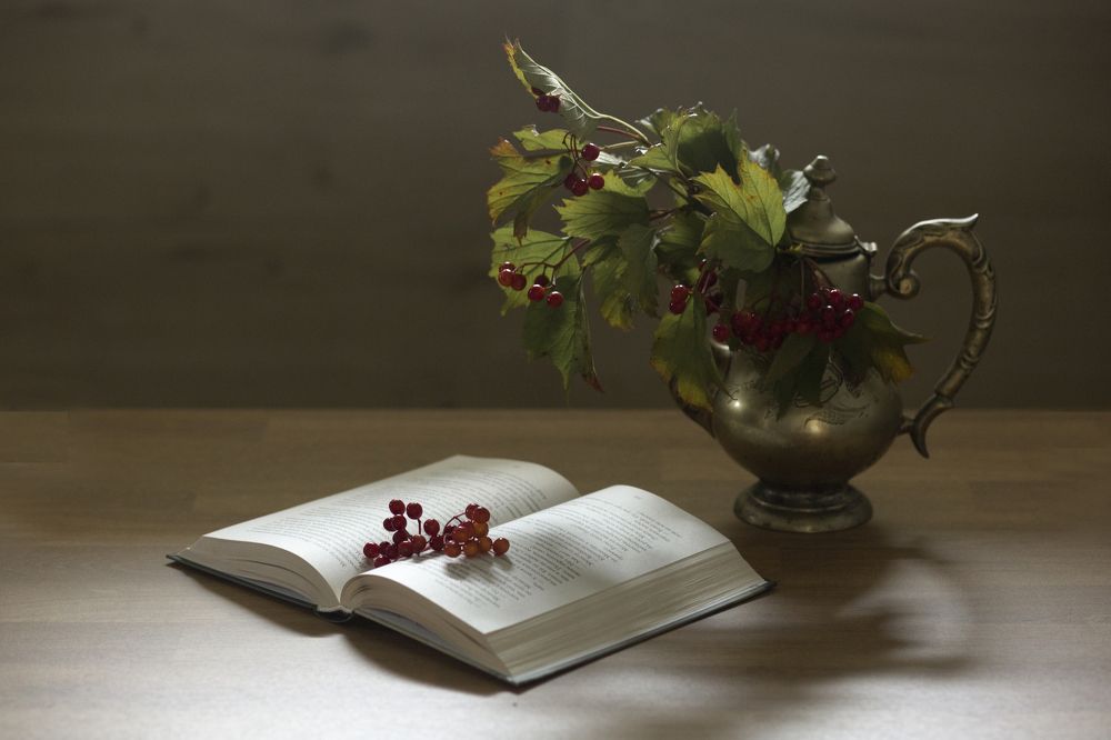 Photograph by Анна Порфирьева