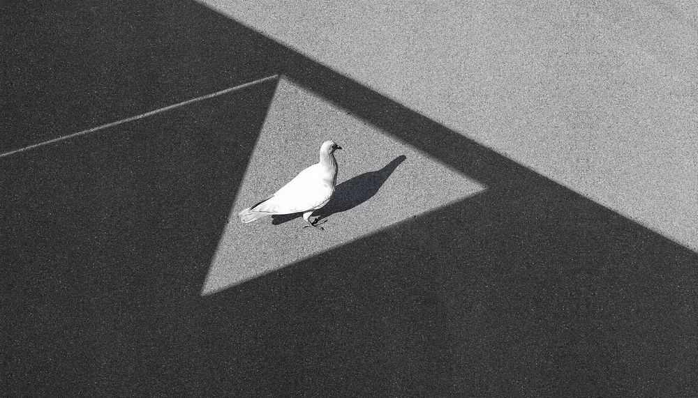 Photograph by a mirzaee.j