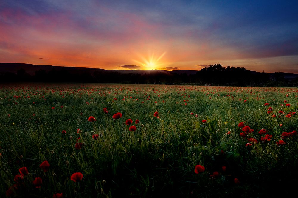 Photograph by Lubomir Libic