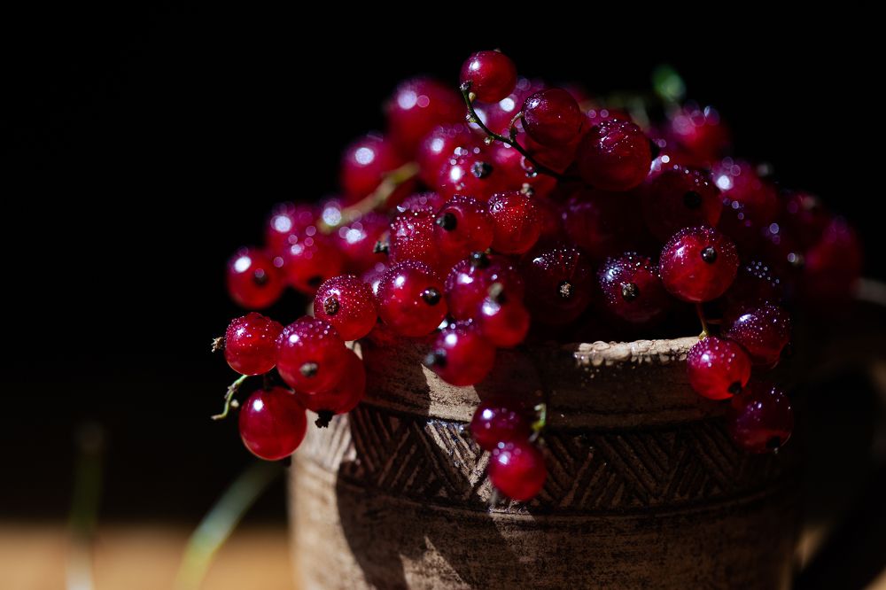 Photograph by Натали Чалык