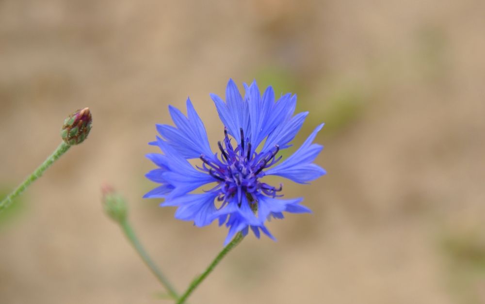 Photograph by Валерия Перфильева