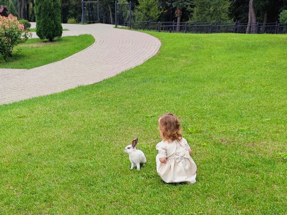 Photograph by Максим Чибисов