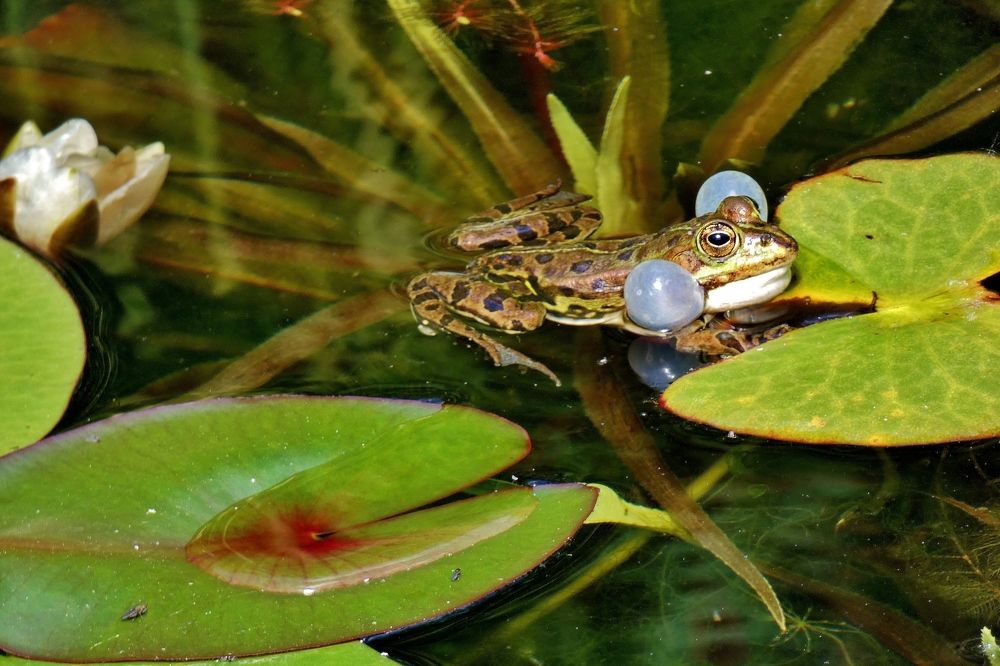 Photograph by backareva irina