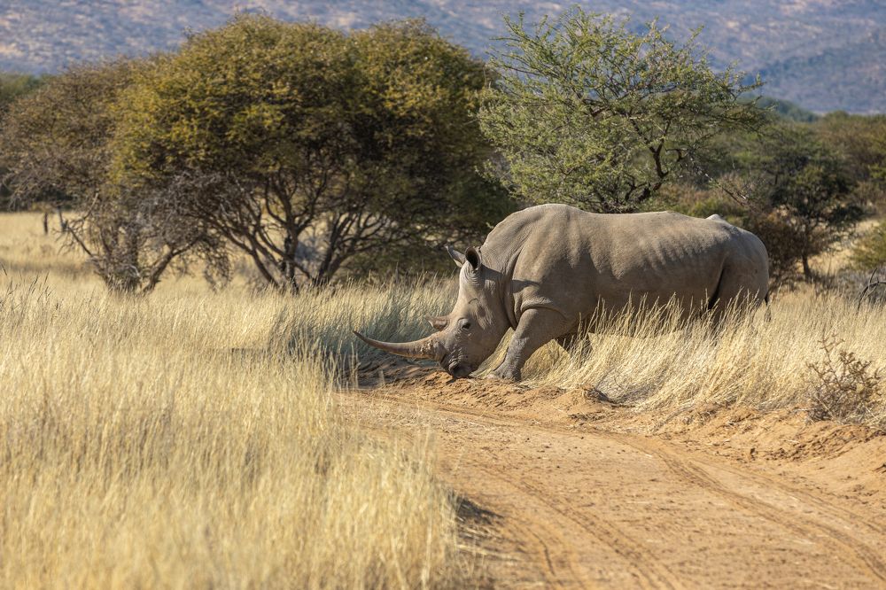 Photograph by АНДРЕЙ ВАГАНОВ