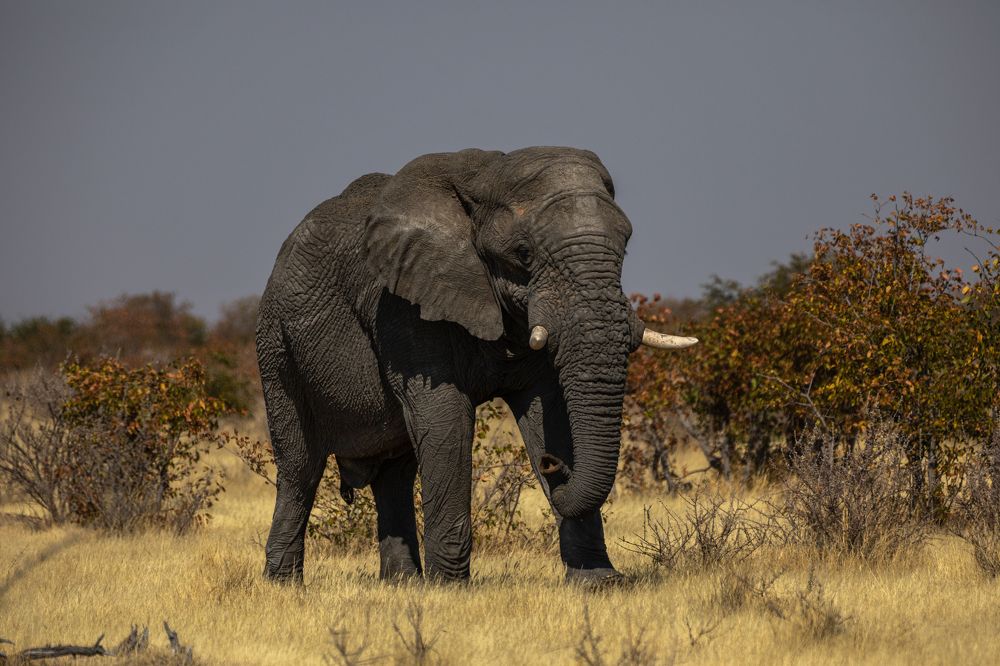 Photograph by АНДРЕЙ ВАГАНОВ