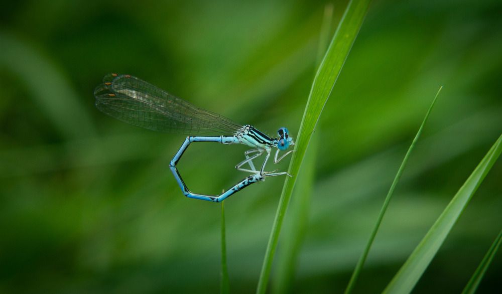 Photograph by Ариадна Подмогильная