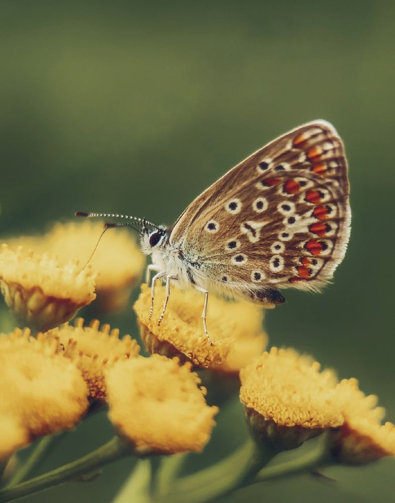 Photograph by Мария Фак