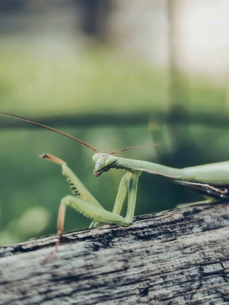 Photograph by Мария Фак