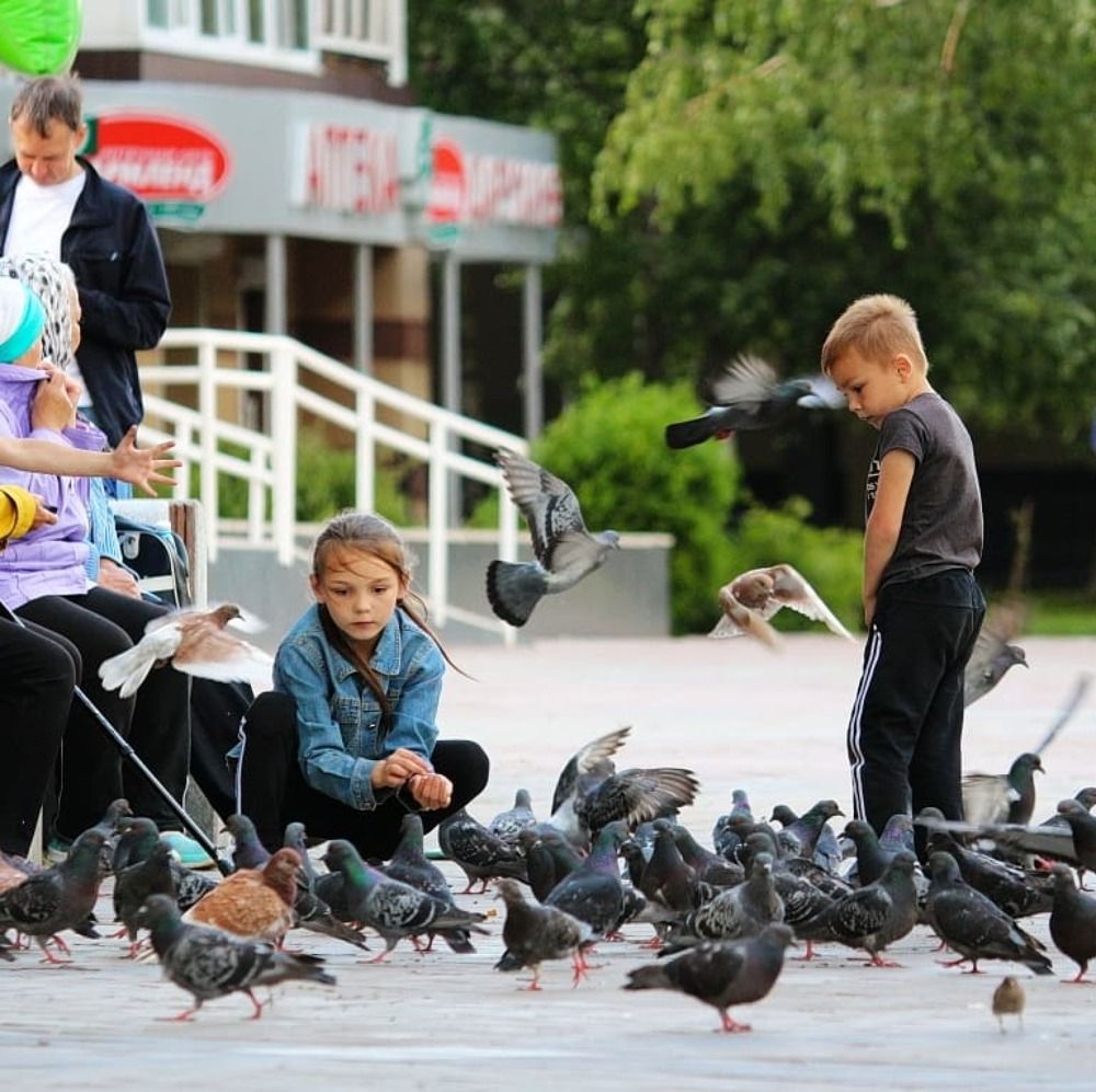 Угощайтесь друзья