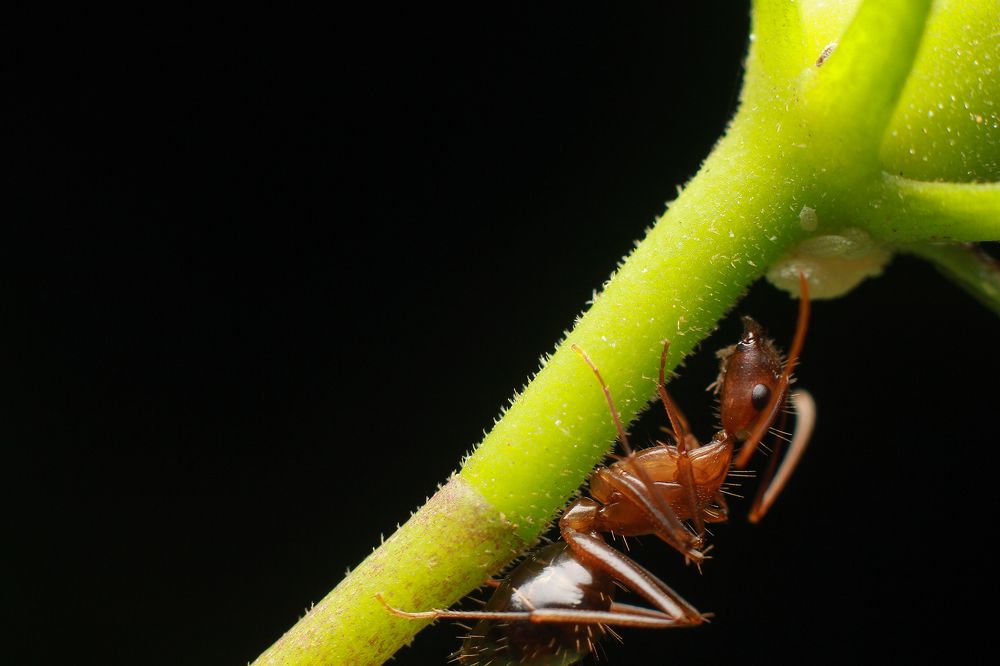 Photograph by Sameera Rathnayaka