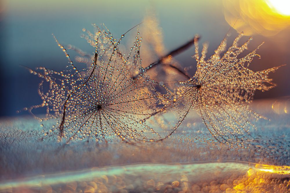 Photograph by Натали Чалык