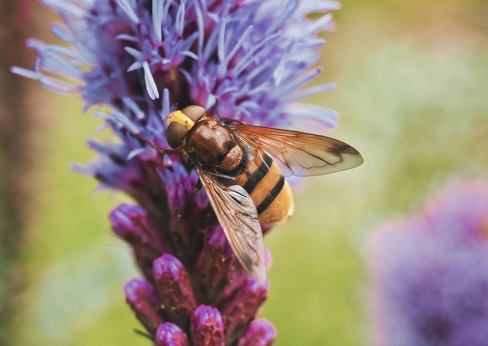 Photograph by Ирина Протченко