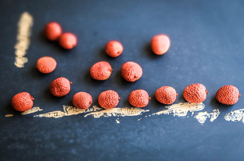 Фотография автора Ольга Забрянская