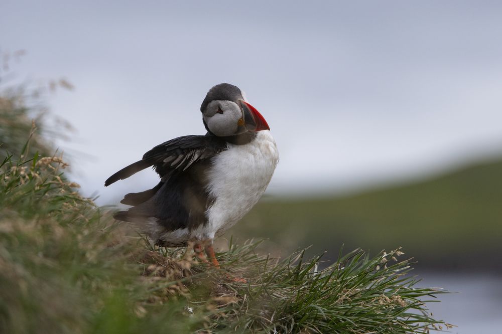 Photograph by Ernestas Balcikonis