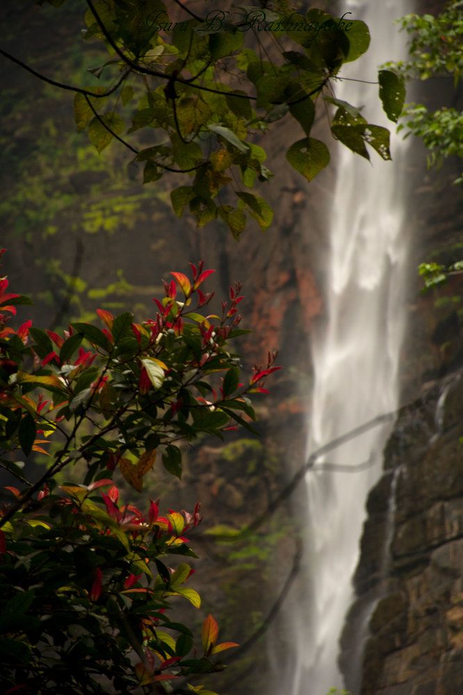 Photograph by B. Rathnayake Isuru