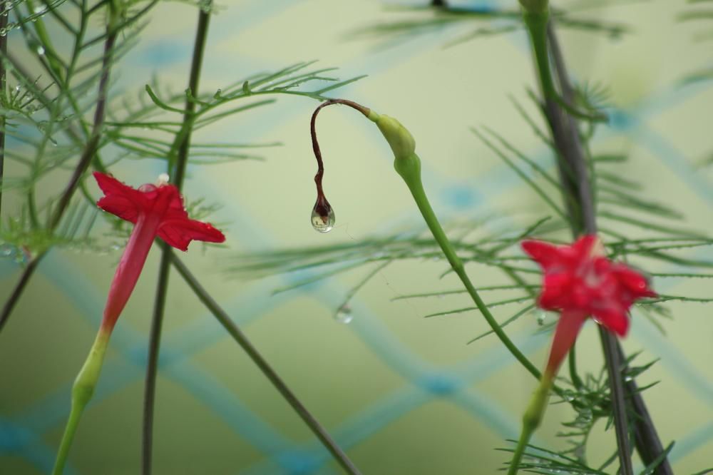 Photograph by Arindam Khatua