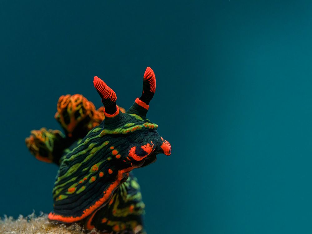 Photograph by Андрей Савин