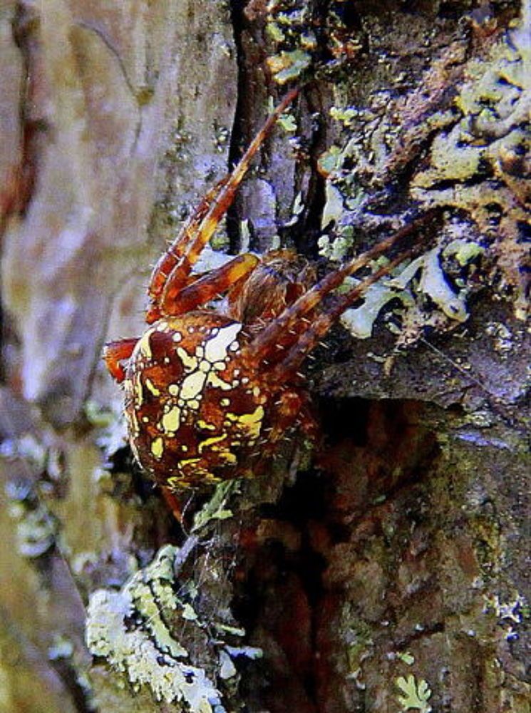 Photograph by Наталья Булаева