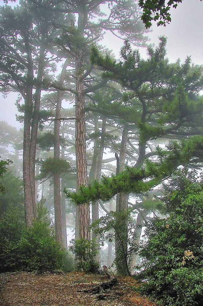 Photograph by Александр Кудрявцев