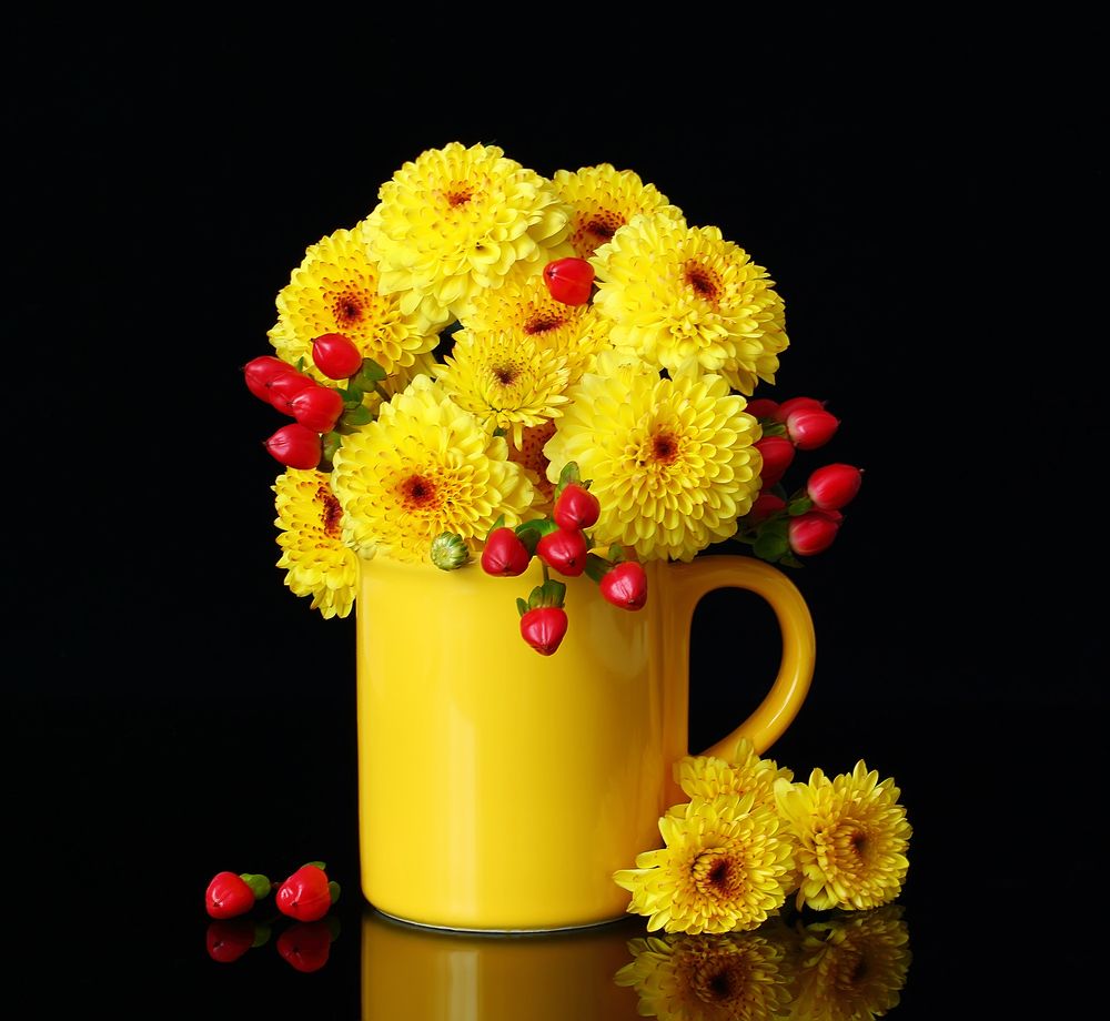 Желтые хризантемы