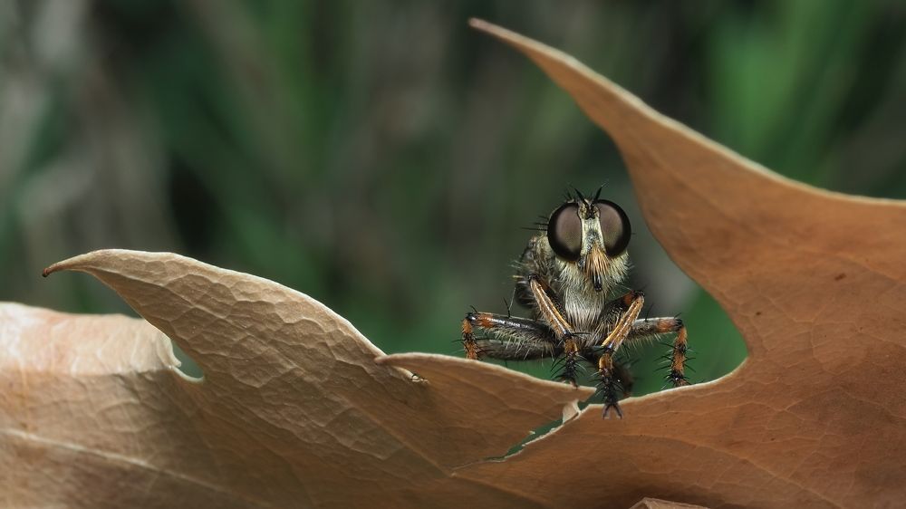 Photograph by Argiros Thanasis
