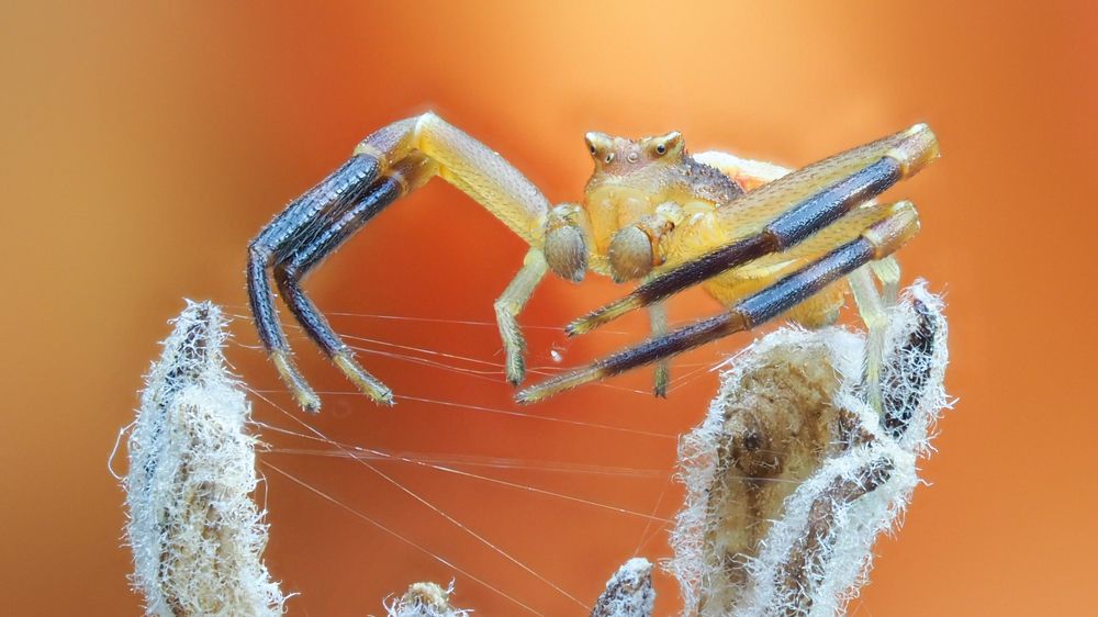 Photograph by Argiros Thanasis