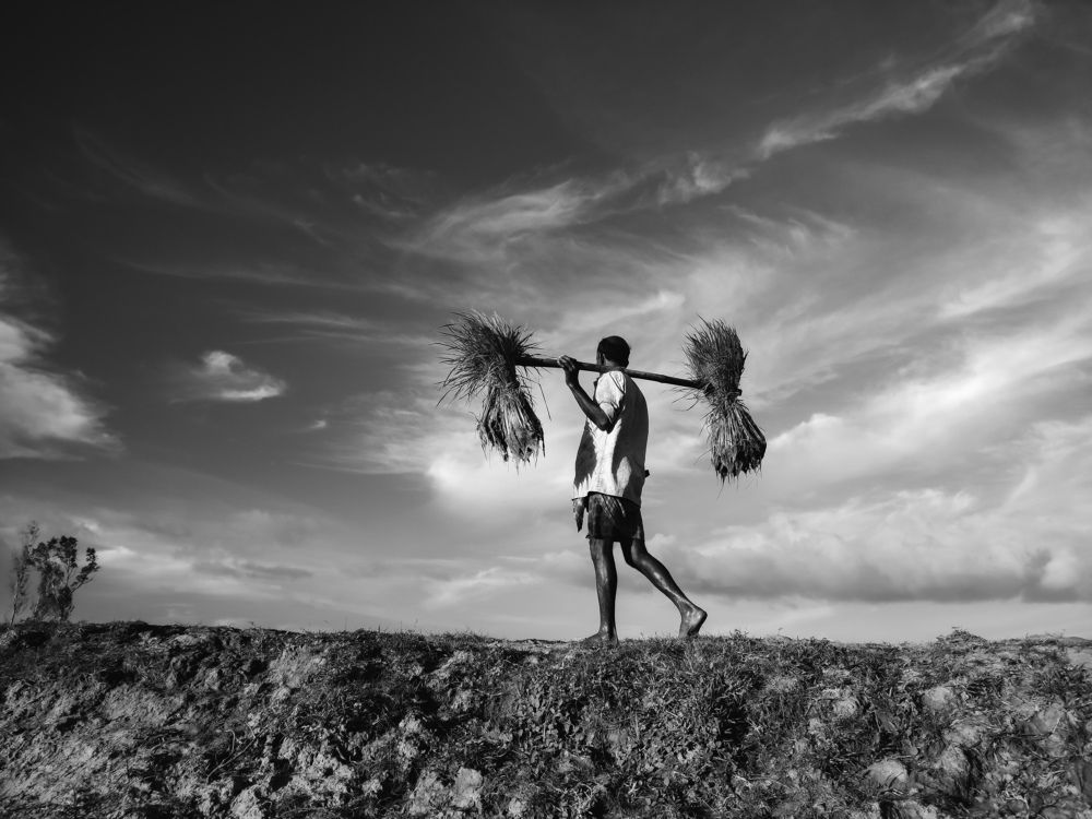 Photograph by Pabitra Ray