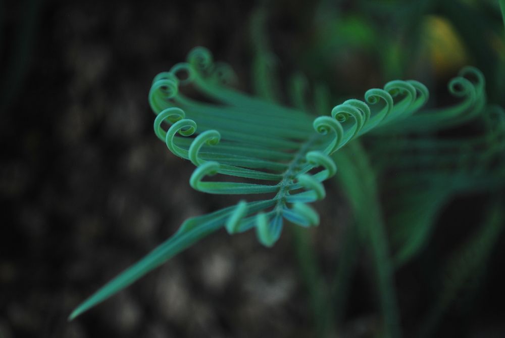 Photograph by Diego Aloma